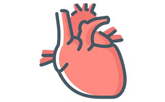 Cardiología